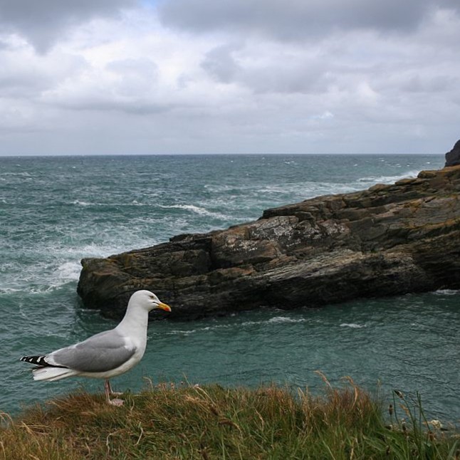 united-kingdom/cornish-coast