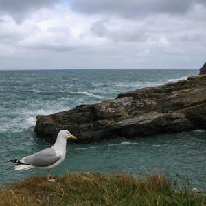 united-kingdom/cornish-coast