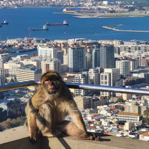 united-kingdom/gibraltar