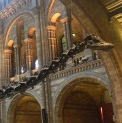 united-kingdom/london/natural-history-museum