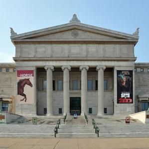 united-states/chicago/field-museum