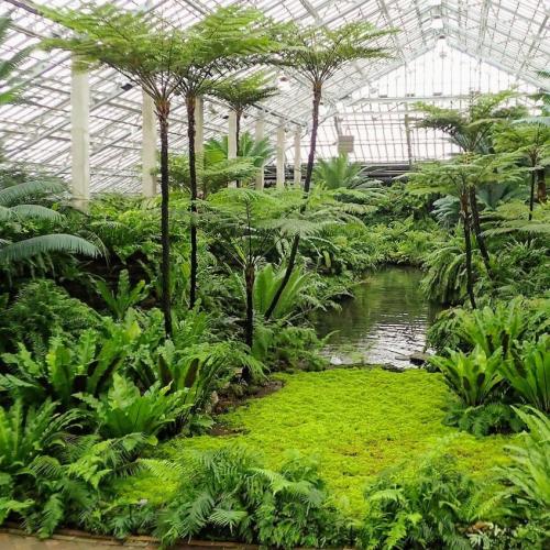 united-states/chicago/garfield-park-conservatory