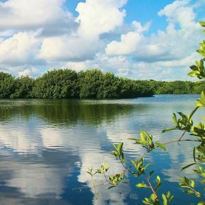 united-states/everglades