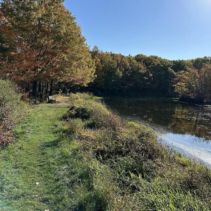 united-states/finger-lakes-national-forest