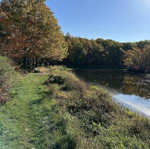 united-states/finger-lakes-national-forest