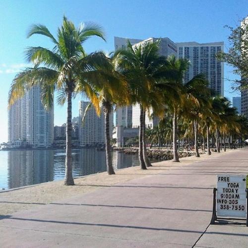 united-states/miami/bayfront-park