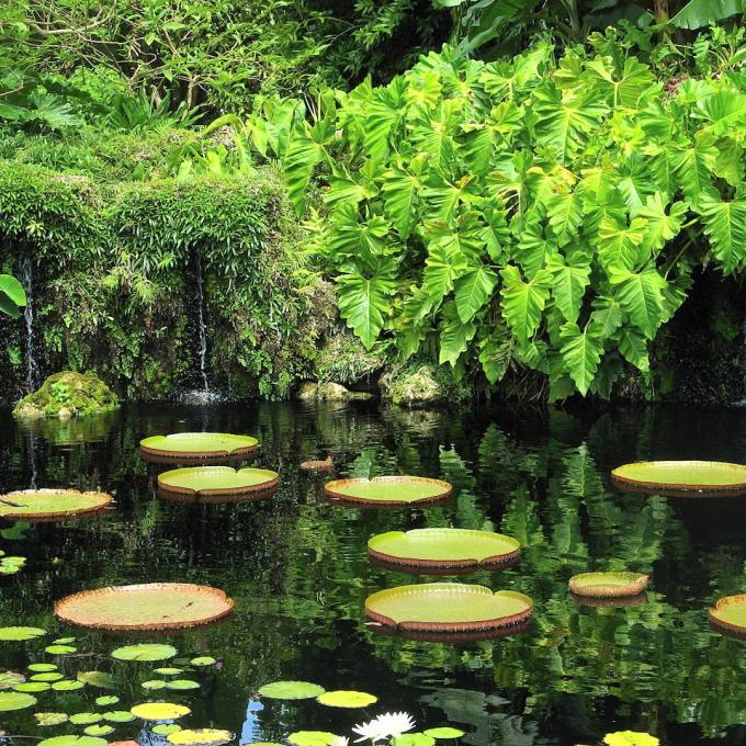 united-states/miami/fairchild-tropical-botanic-garden