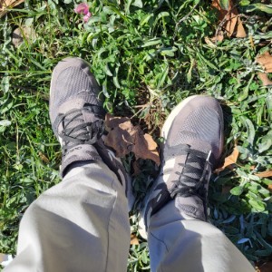 united-states/mount-hood-national-forest