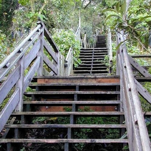 united-states/san-francisco/filbert-steps