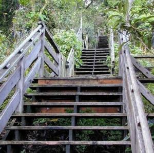 united-states/san-francisco/filbert-steps