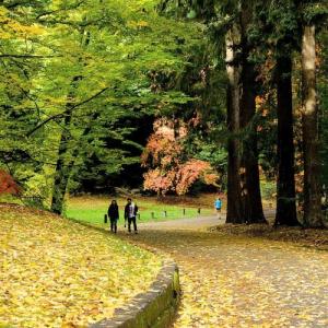 united-states/seattle/washington-park-arboretum