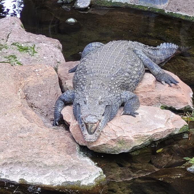 united-states/washington/national-zoological-park