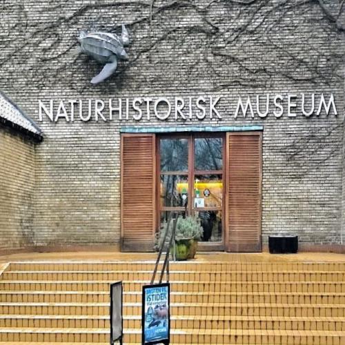 aarhus-naturhistorisk-museum  