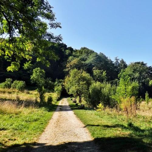 Parc du Bois Vidal.