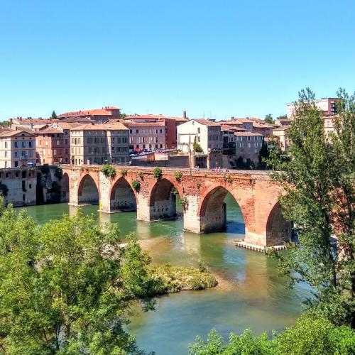 albi-pont-vieux