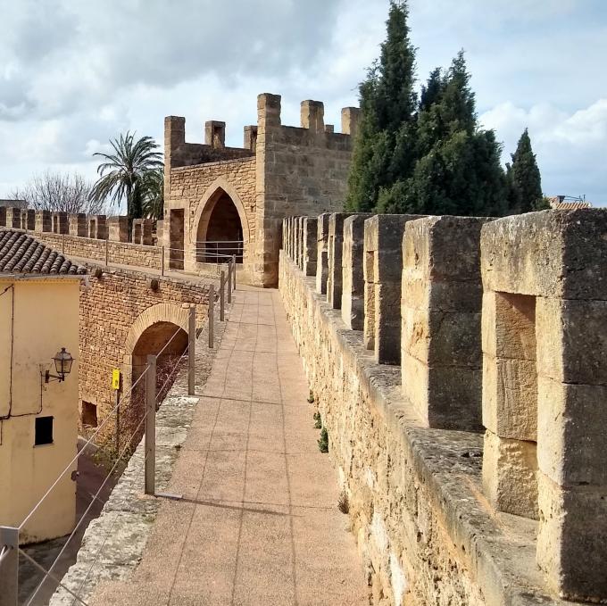 CAMI DE RONDA. (10)