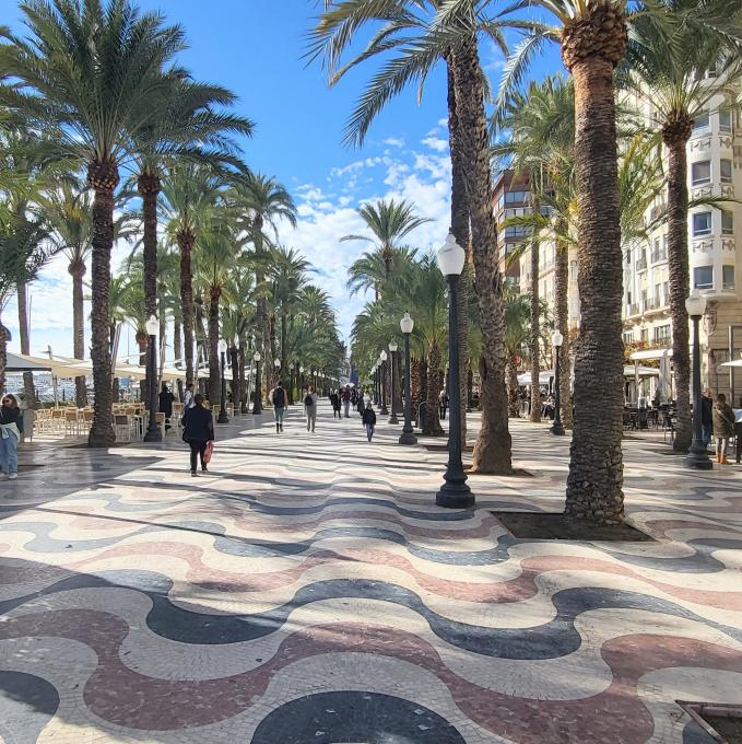 alicante-presentation