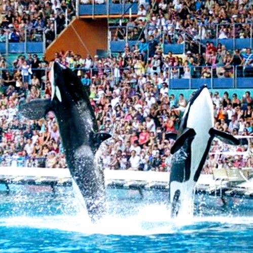 antibes-marineland