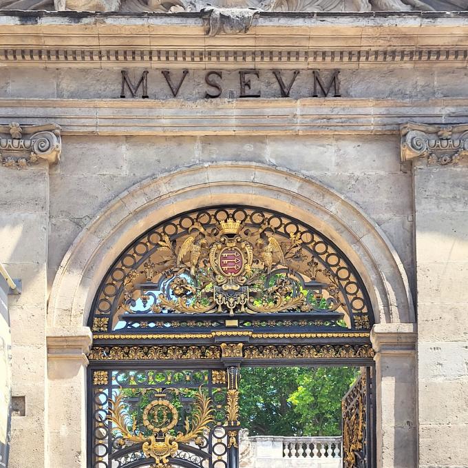 avignon-musee-calvet