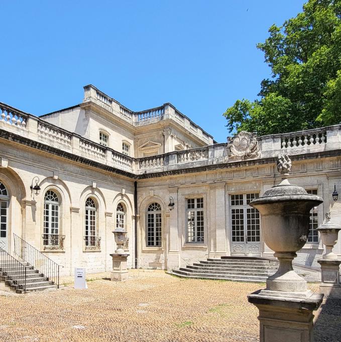 avignon-musee-calvet