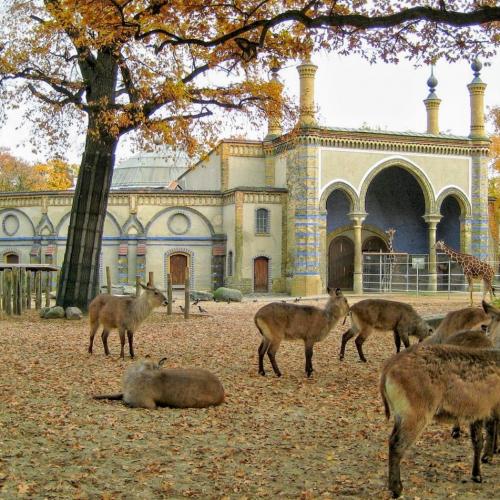 berlin-zoo-berlin
