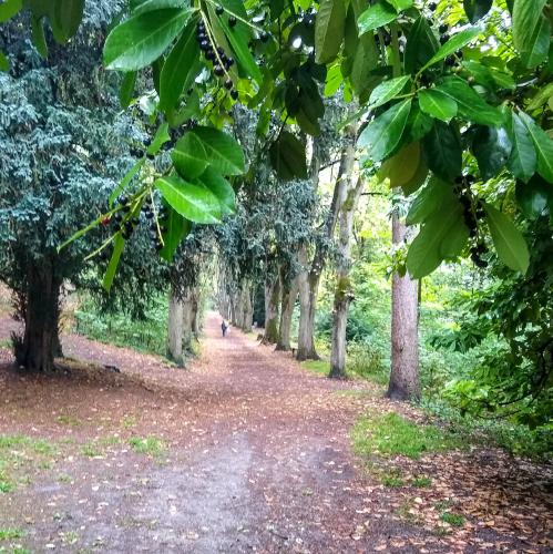 Parc de la Jonchère