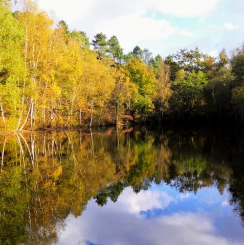 broceliande-miroir-aux-fees