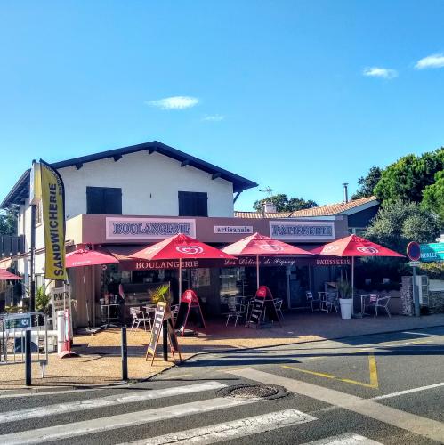 cap-ferret-le-canon