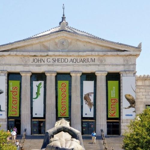 Chicago Shedd Aquarium. Présentation et avis des voyageurs.