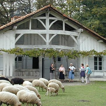 ecomusee-de-la-grande-lande-presentation