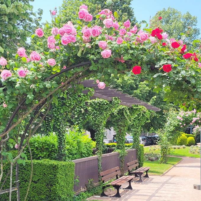 Jardin Anglais.