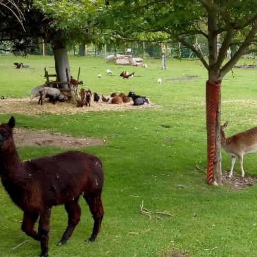 JARDIN VAL-ES-FLEUR. Et son parc animalier.
