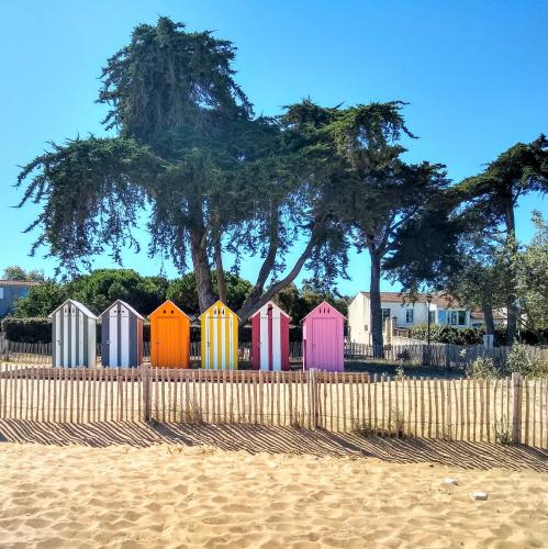 La Brée-les-Bains : les naufrages sur l'île d'Oléron au cœur d'une  conférence