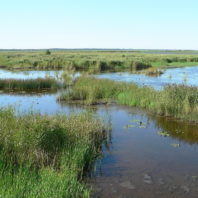 Delta de l'Eyre