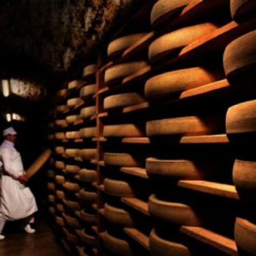 CAVES JURAFLORE. Pour l'affinage du comté. (2)
