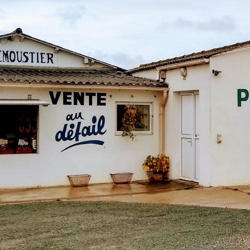 SEUDRE. Mini fleuve à huîtres!