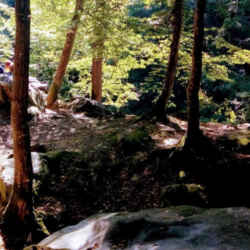 Rochers et cascades.