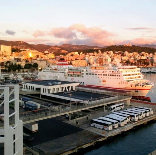 palma cruise ship terminal