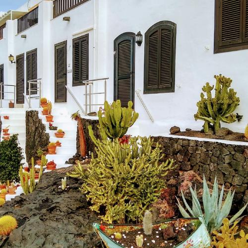puerto-del-carmen-presentation
