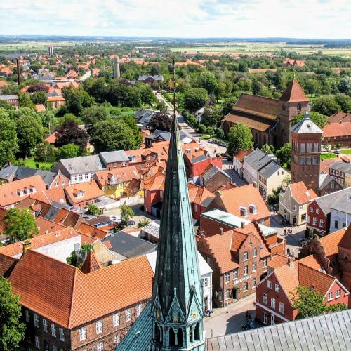 ribe-presentation