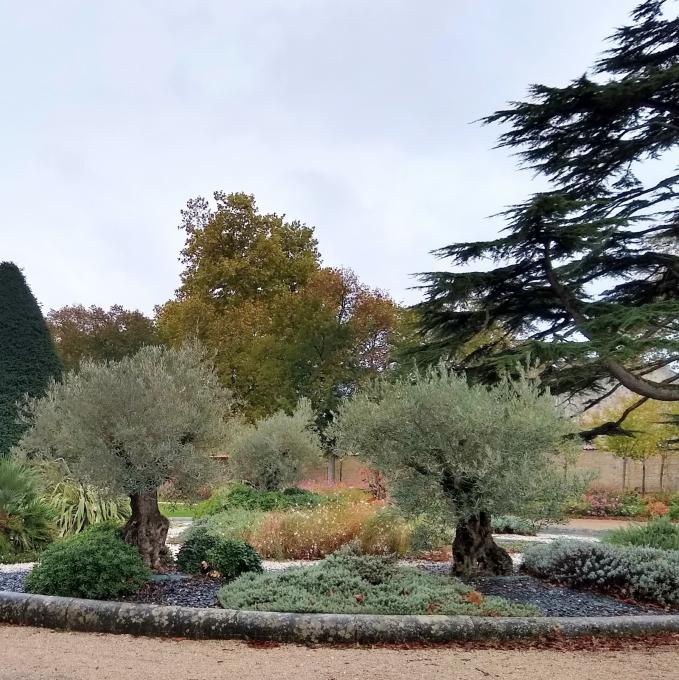 Jardins de la Marine et Hôtel de la Marine.