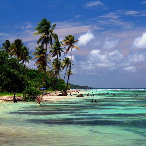 sainte-anne-de-guadeloupe-presentation