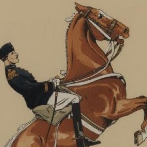 CADRE NOIR. De<from> la cavalerie à<to> l'équitation.