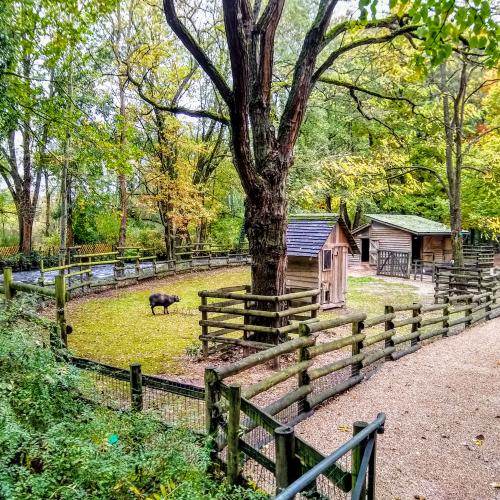 Parc du Moulin-À-Tan.