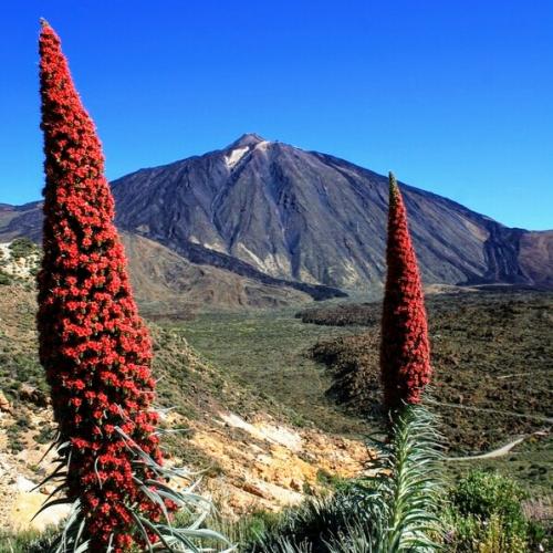 tenerife-presentation