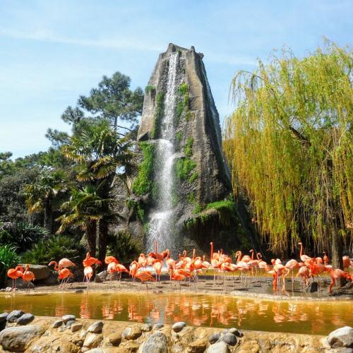 zoo-de-la-palmyre-presentation